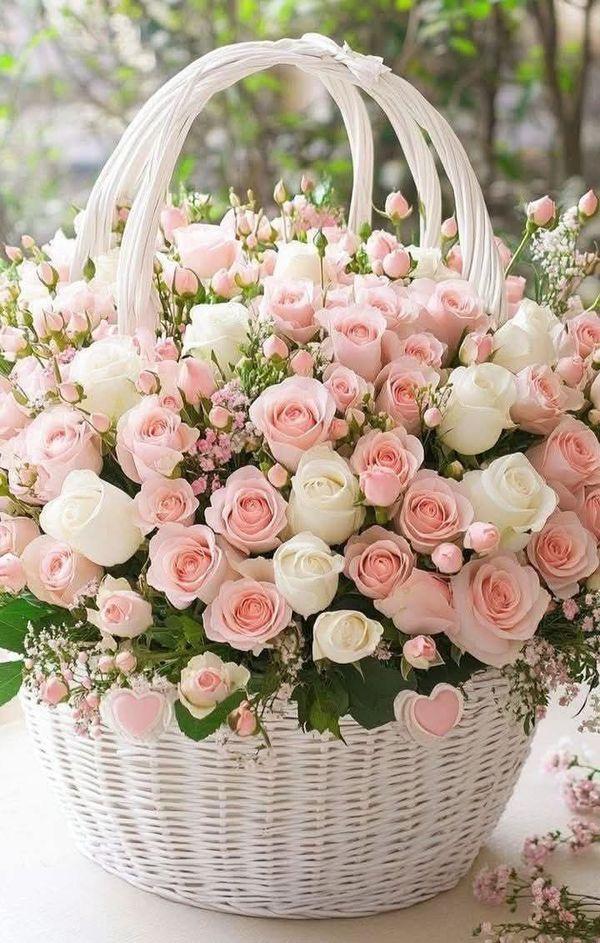 Enchanted Garden Vibrant Blossom Mix