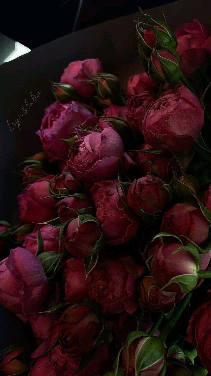 Eternal Embrace Pastel Flower Array